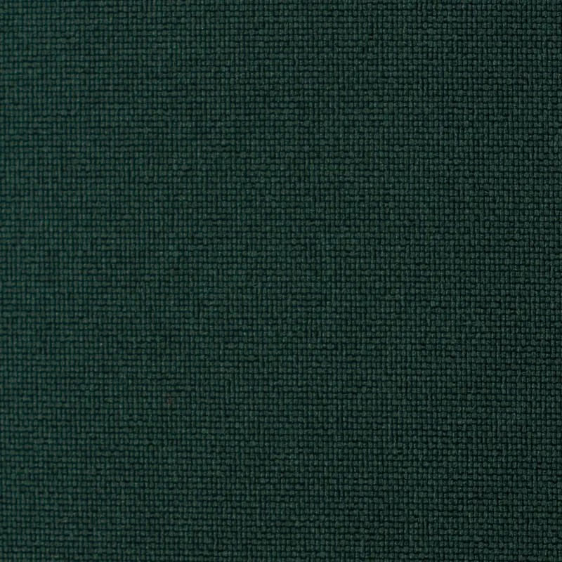 tropical-mecanico-verde-ingles
