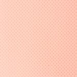 friselina-45gr-salmon