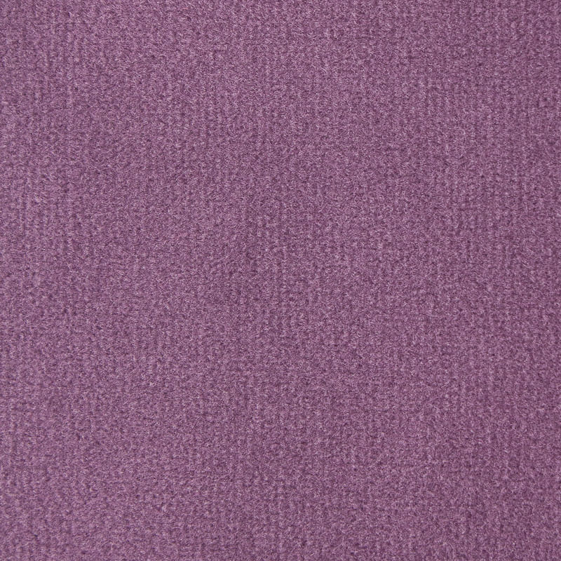 pana-donn-violeta
