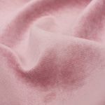 pana-panne-rosa